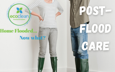 Post-Flood Care: How to Dry Wet Carpet