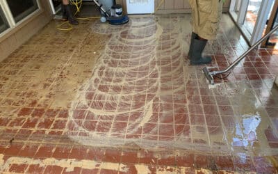 How Much Does Professional Floor Cleaning Cost in San Antonio?