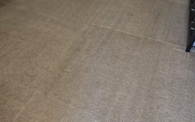 Carpet Cleaning: Why Wicking Causes Stains to Come Back in 2026