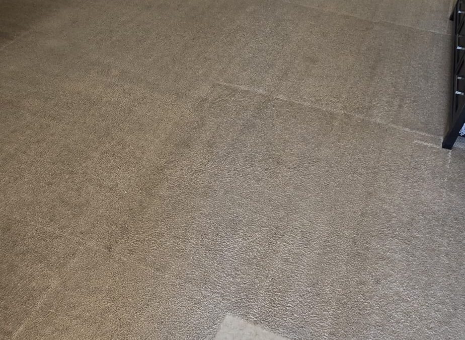 Carpet Cleaning: Why Wicking Causes Stains to Come Back in 2026