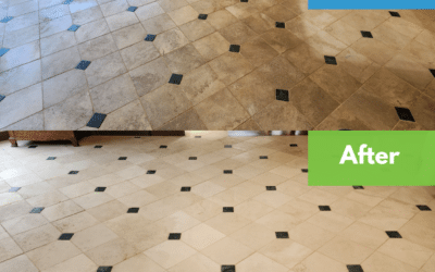 Best Tile and Grout Cleaning Products for Mold, Mildew & Stains in 2026