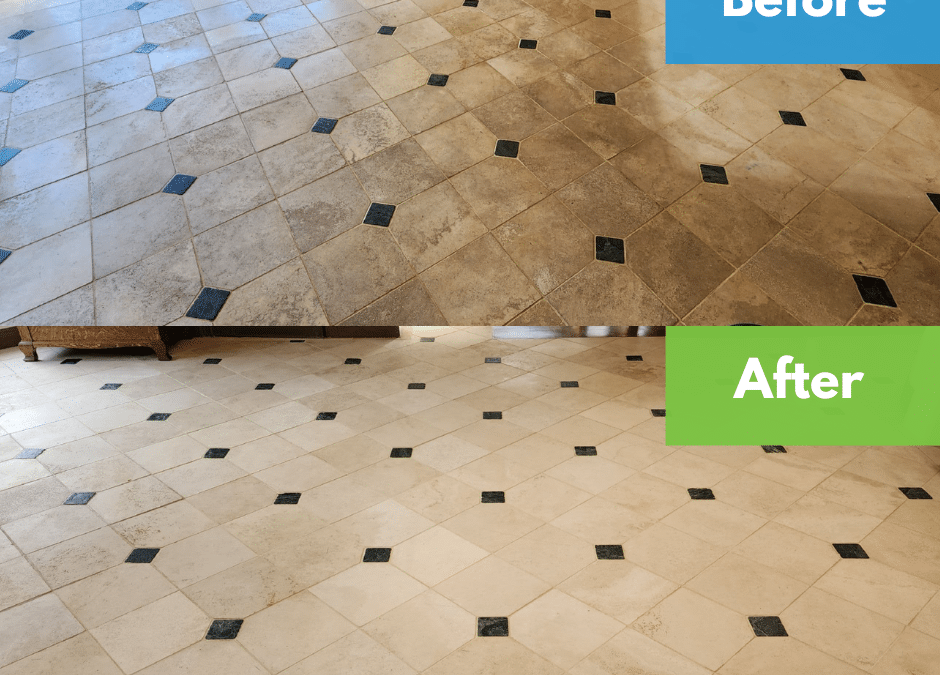 Best Tile and Grout Cleaning Products for Mold, Mildew & Stains in 2026