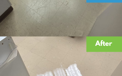 VCT Floor Maintenance Schedule: Protecting Your Investment in 2026