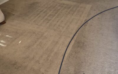 Is Hiring a Floor Cleaner Worth the Money? (The Real ROI of Professional Floor Care)