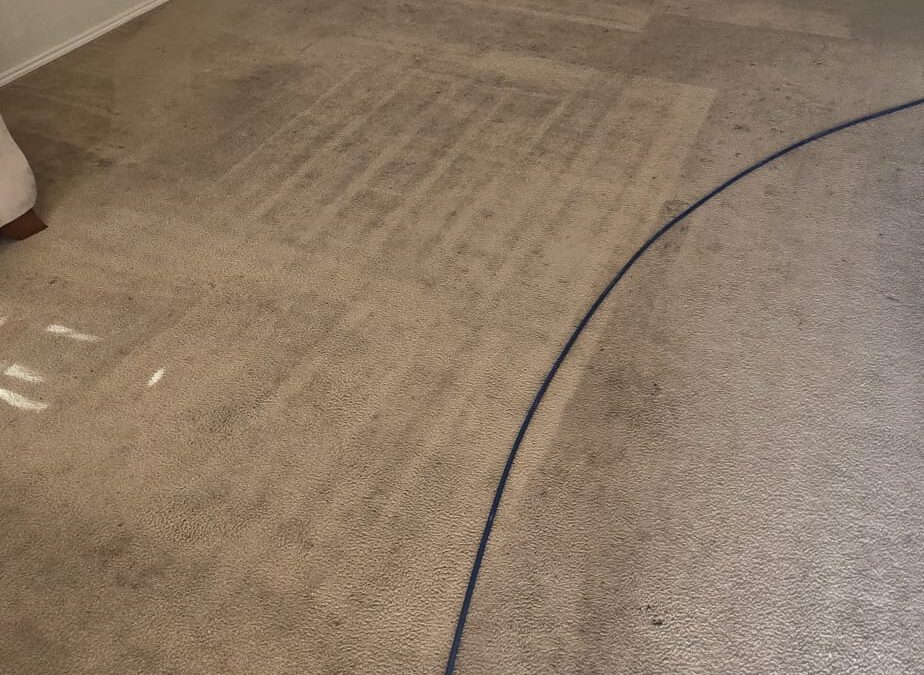 Is Hiring a Floor Cleaner Worth the Money? (The Real ROI of Professional Floor Care)