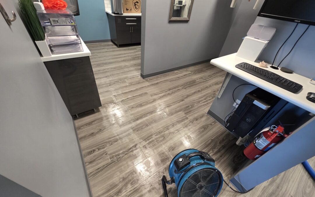 What to Expect During Your First Professional Floor Cleaning