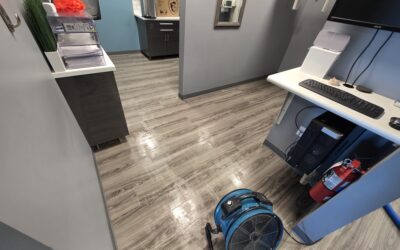 What to Expect During Your First Professional Floor Cleaning