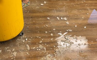 What to Expect During Your First Professional Floor Cleaning