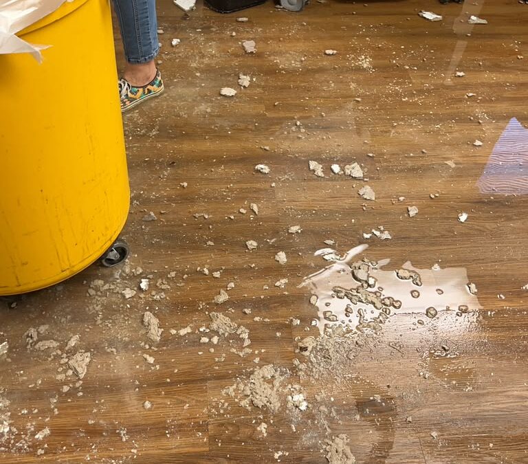 What to Expect During Your First Professional Floor Cleaning