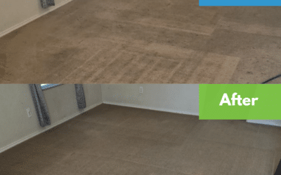 Do Professional Cleaners Use Chemicals That Are Safe for Pets?